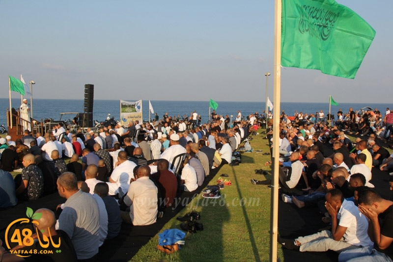 salah 3ed montahzah3 (147).JPG